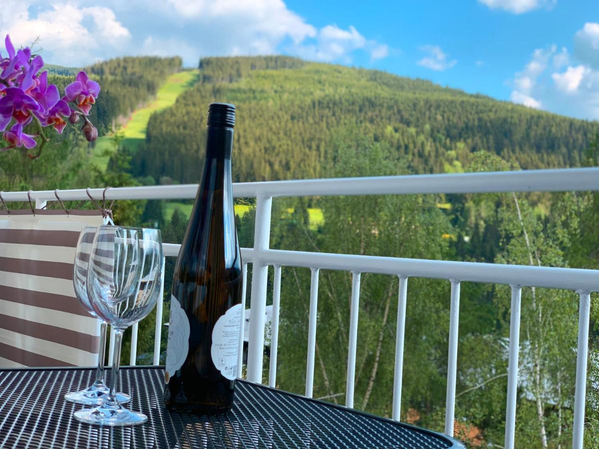 Panorama 19 Apartment Spindleruv Mlyn Bagian luar foto