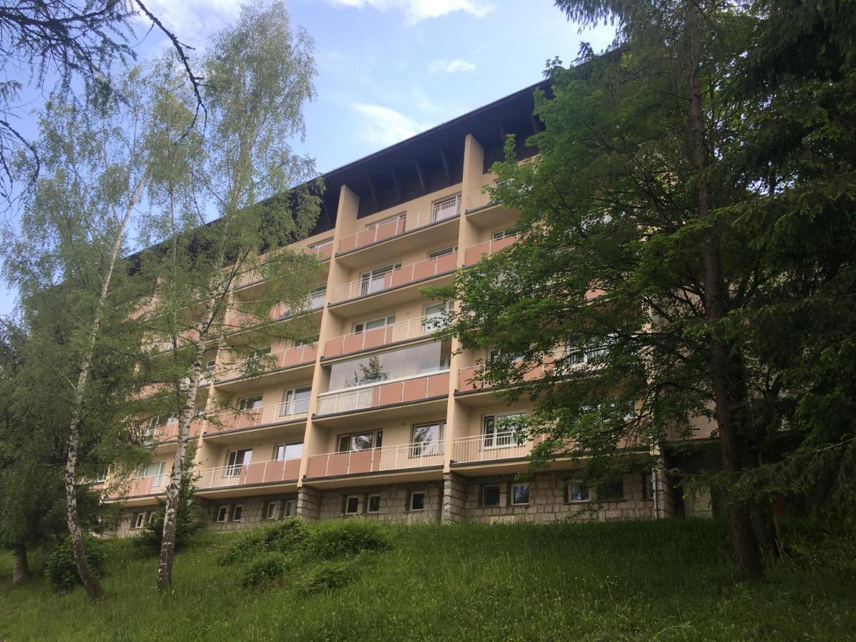 Panorama 19 Apartment Spindleruv Mlyn Bagian luar foto
