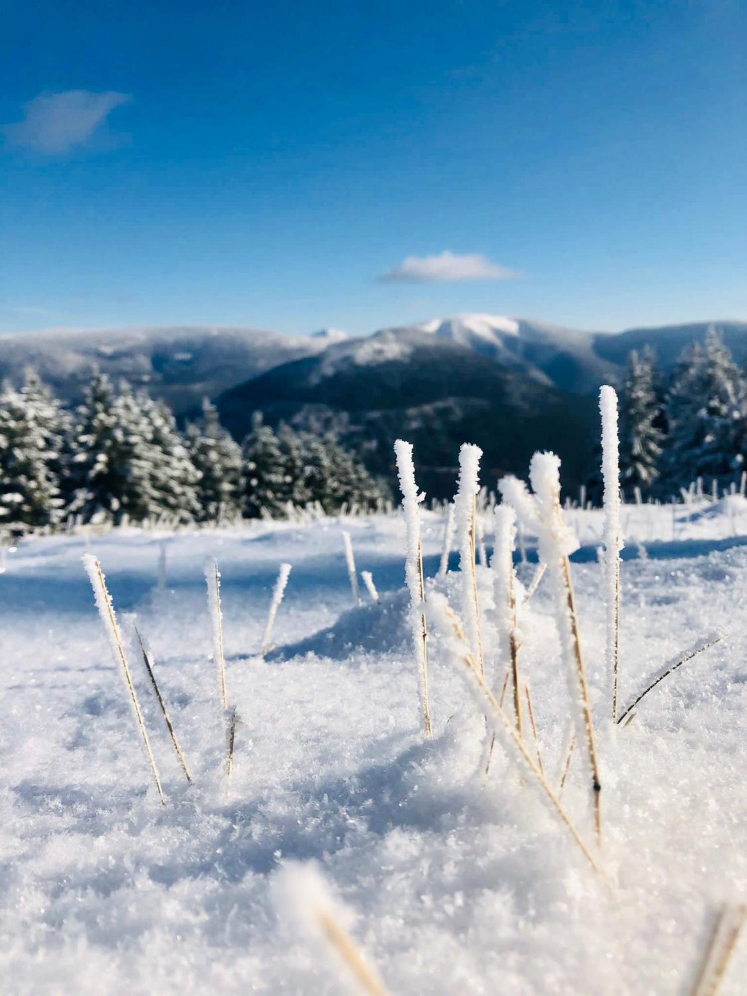 Panorama 19 Apartment Spindleruv Mlyn Bagian luar foto